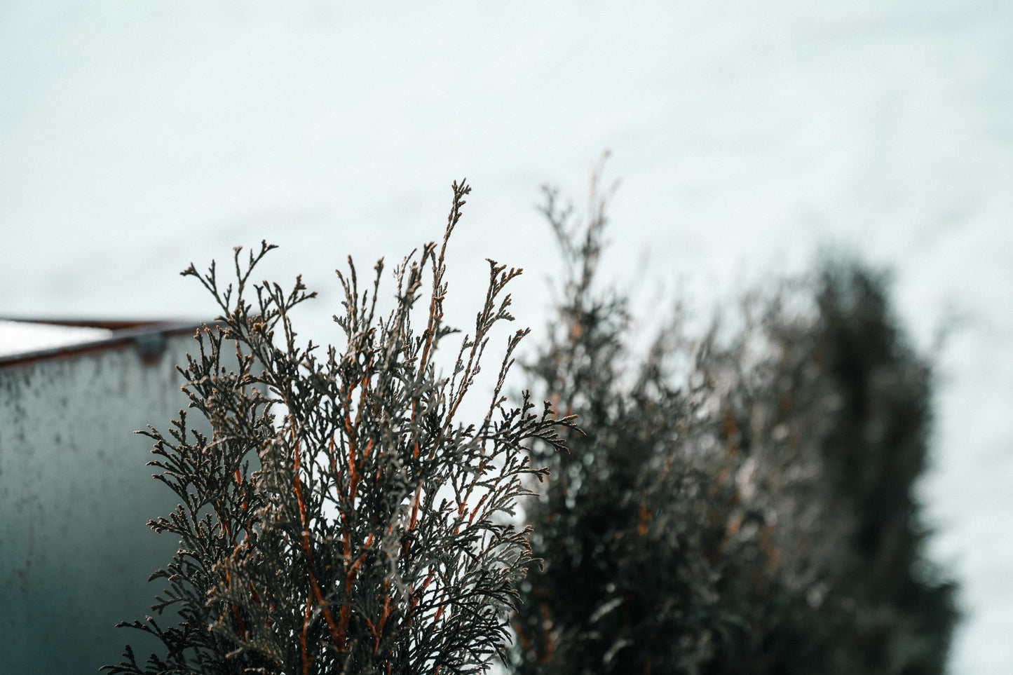 Loft Apartment - Ladin Spirit