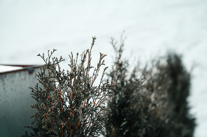 Loft Apartment - Ladin Spirit