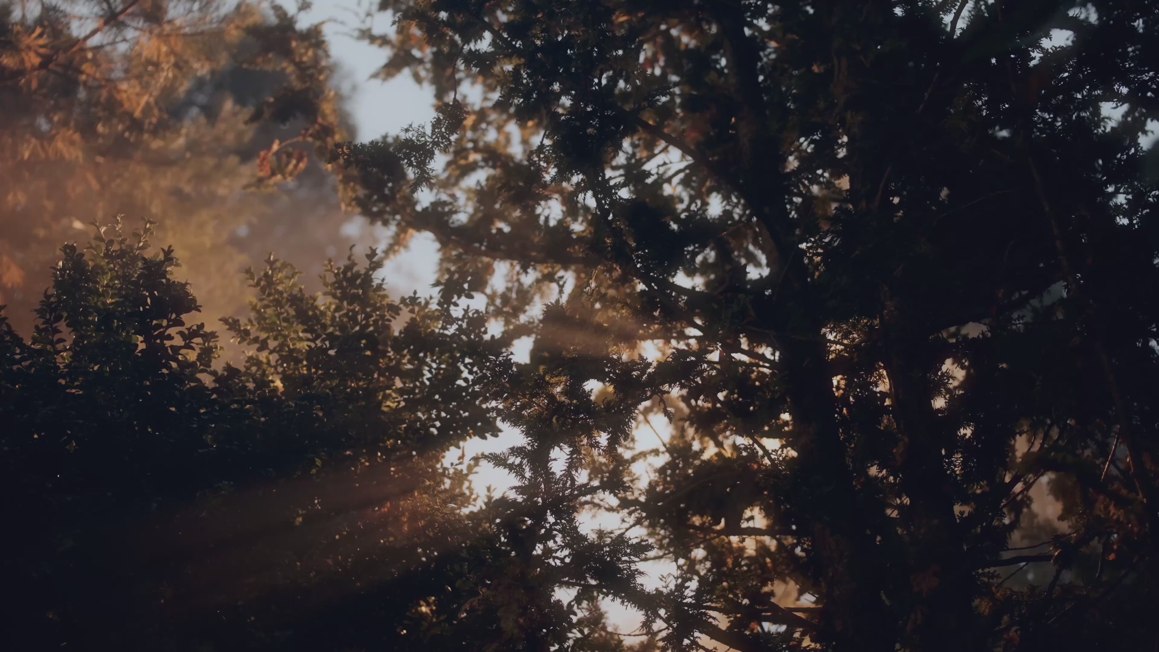 Load video: <p>From reflections or depth, elegant and mysterious.</p>